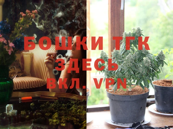 соль курить ск Болотное